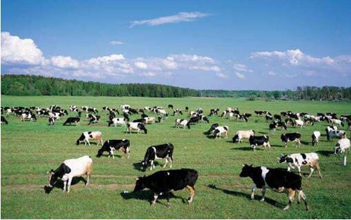 前三季度山西省農業生產穩定增長 糧食豐收已成定局 畜牧業生產增勢良好